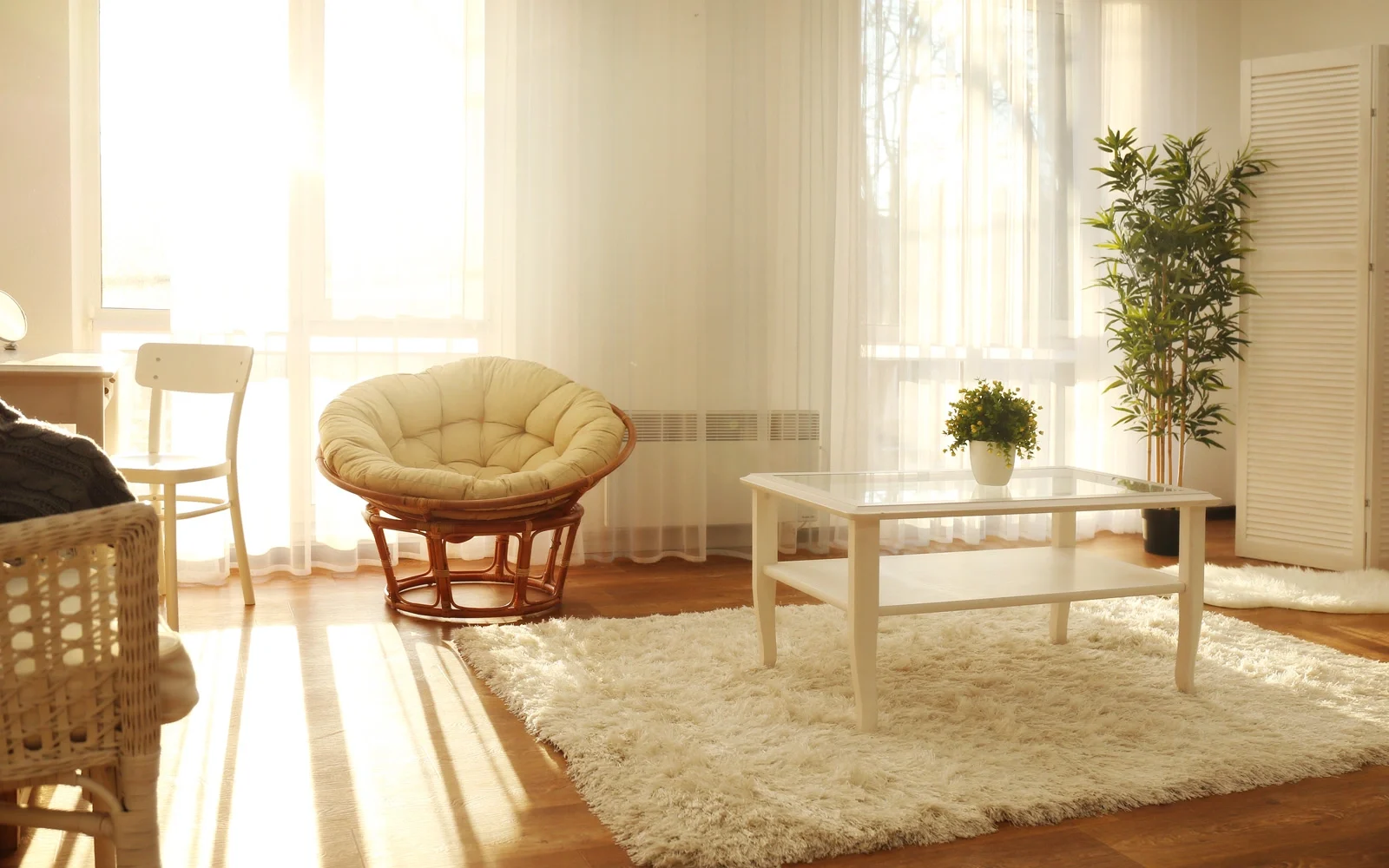 How to Increase Natural Light in Your Home (2026) Home Improvement image