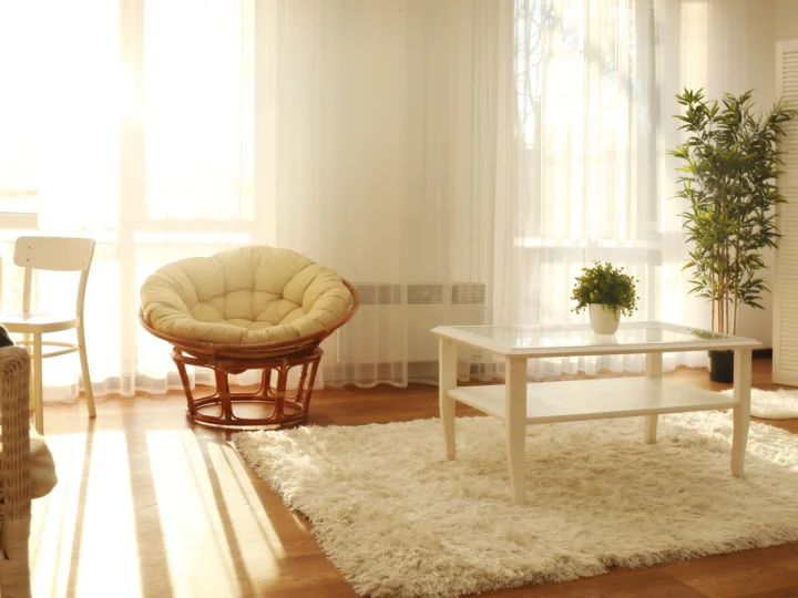 How to Increase Natural Light in Your Home (2026) Home Improvement guide