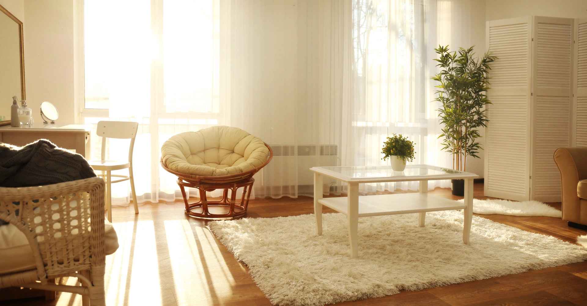 How to Increase Natural Light in Your Home (2026)