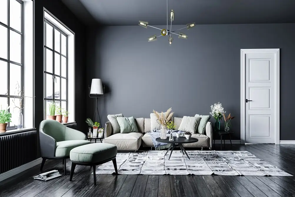 Two Colour Combination Ideas for Walls Painting image